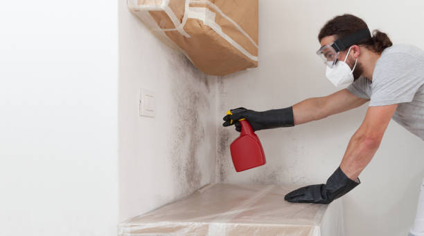Professional Black Mold Remediation technician working in Arlington, VA