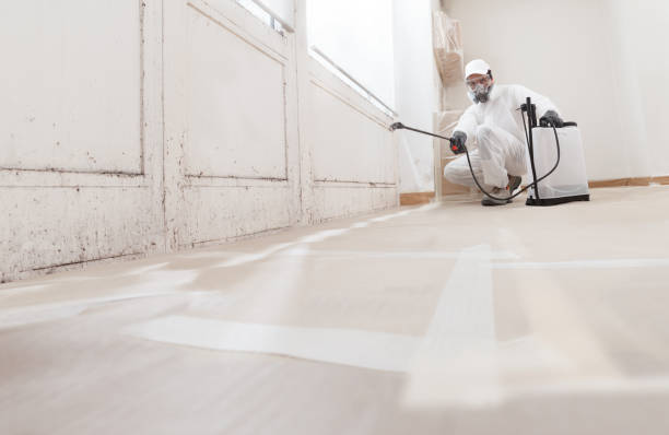 24/7 Emergency Black Mold Remediation experts in Arlington, VA