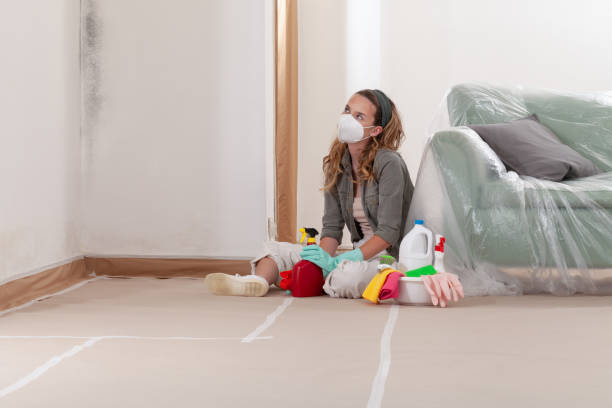 Reliable Black Mold Remediation contractor in Arlington, VA by 24 Hour Mold Removal